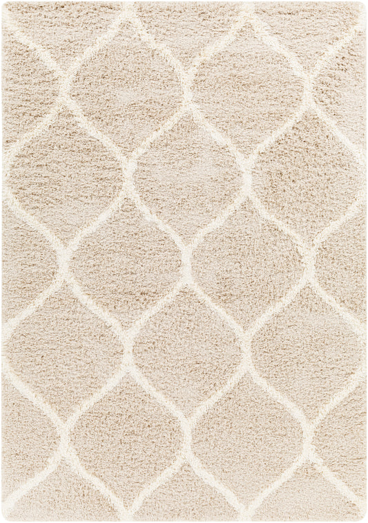 Surya Urban Shag Usg-2320 Beige Area Rug