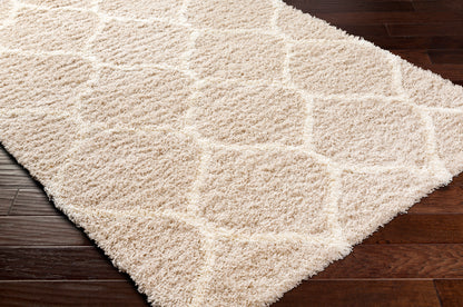 Surya Urban Shag Usg-2320 Beige Area Rug