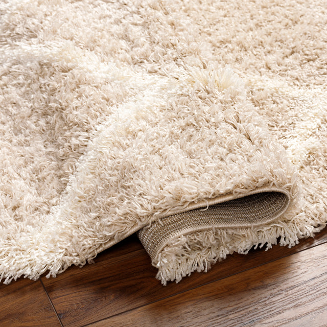 Surya Urban Shag Usg-2320 Beige Rug.