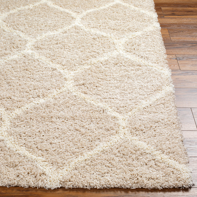 Surya Urban Shag Usg-2320 Beige Rug.