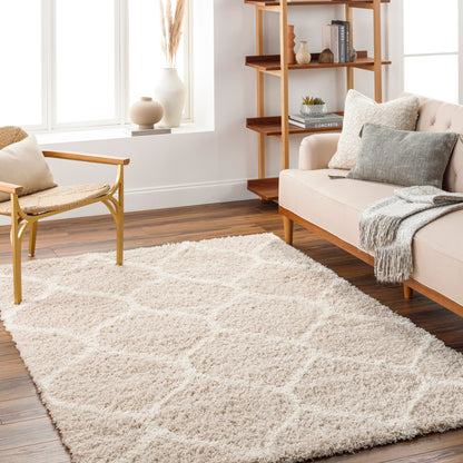 Surya Urban Shag Usg-2320 Beige Area Rug