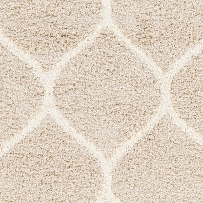 Surya Urban Shag Usg-2320 Beige Area Rug