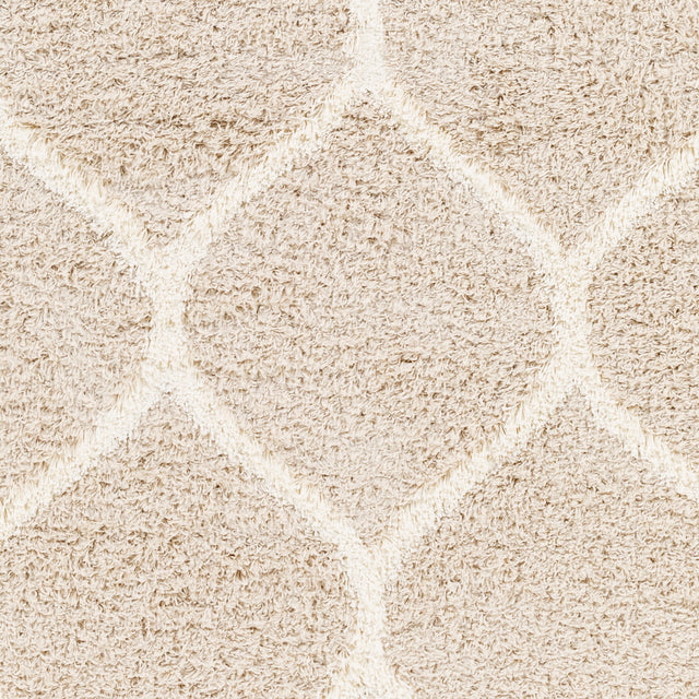 Surya Urban Shag Usg-2320 Beige Rug.