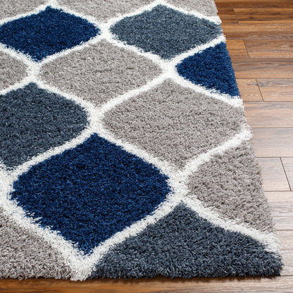 Surya Urban Shag Usg-2321 Multi-Color Area Rug