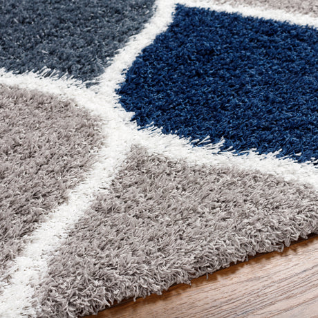 Surya Urban Shag Usg-2321 Multi-Color Rug.