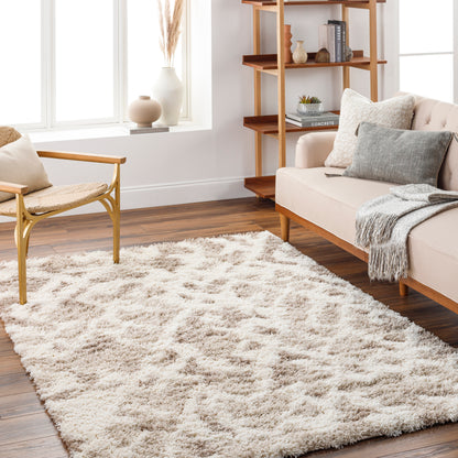 Surya Urban Shag Usg-2323 Tan & Ivory Area Rug