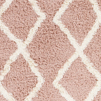 Surya Urban Shag Usg-2324 Pink Area Rug