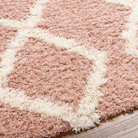 Surya Urban Shag Usg-2324 Pink Area Rug