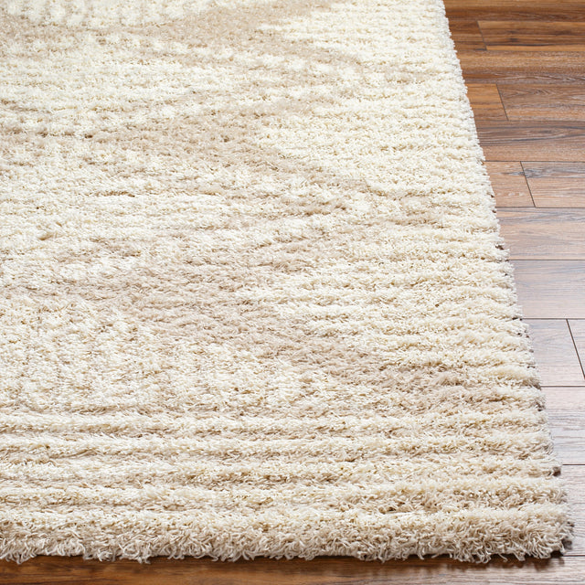 Surya Urban Shag Usg-2326 Beige Rug.