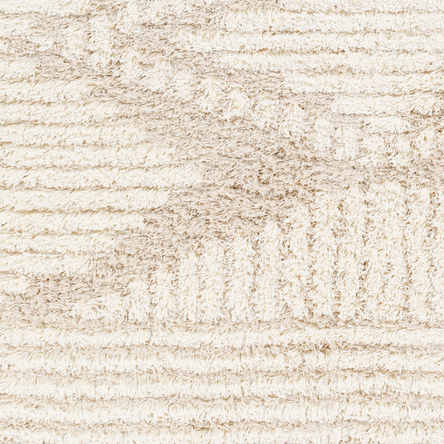 Surya Urban Shag Usg-2326 Beige Rug.