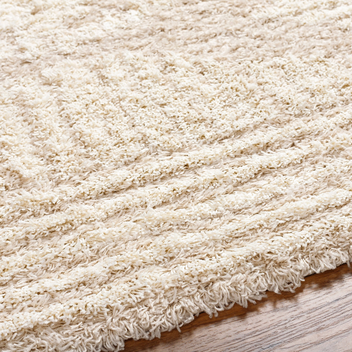 Surya Urban Shag Usg-2326 Beige Rug.