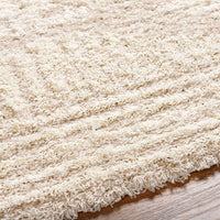 Surya Urban Shag Usg-2326 Beige Area Rug