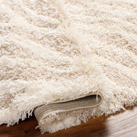 Surya Urban Shag Usg-2332 Beige Area Rug