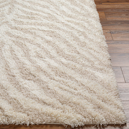 Surya Urban Shag Usg-2332 Beige Area Rug