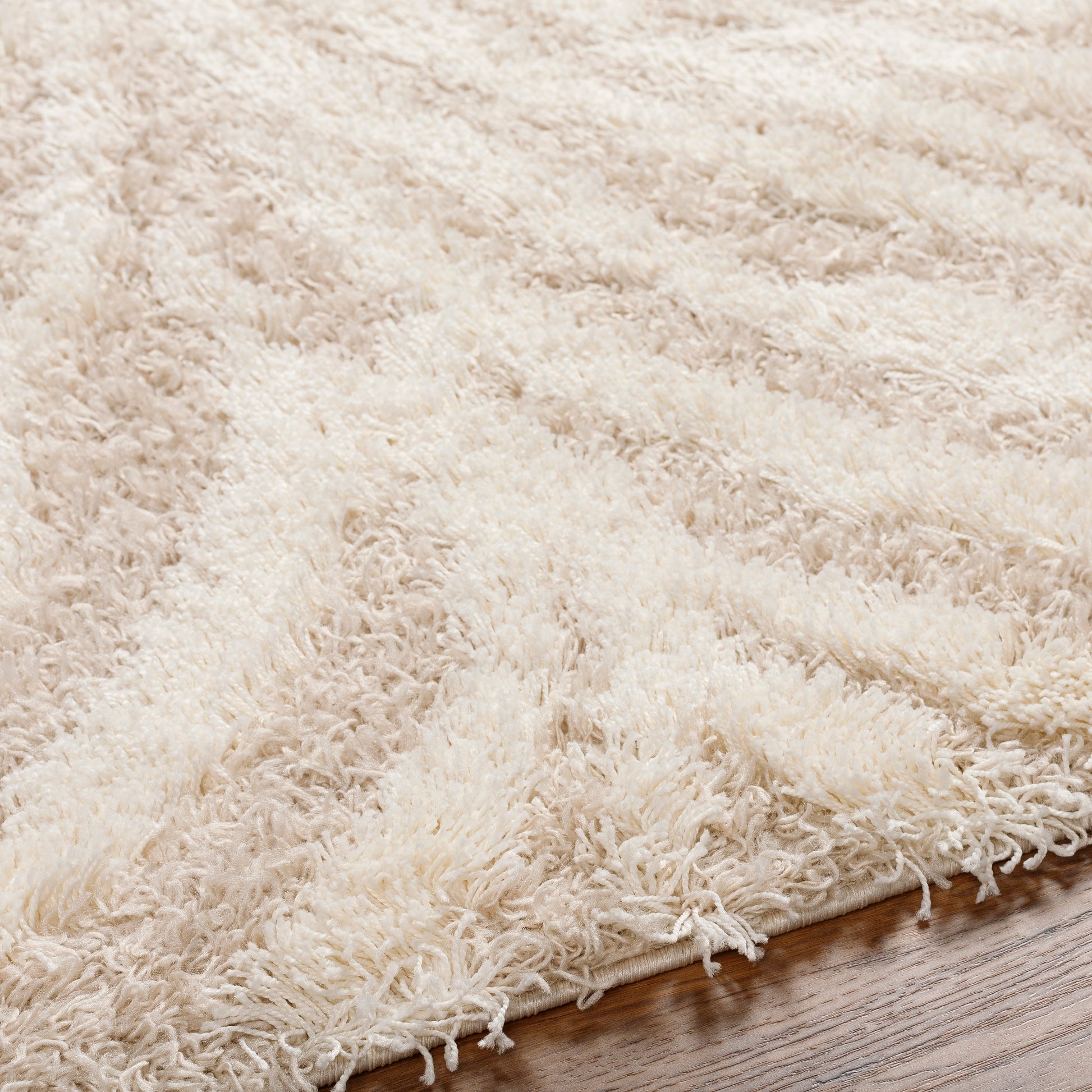 Surya Urban Shag Usg-2332 Beige Area Rug