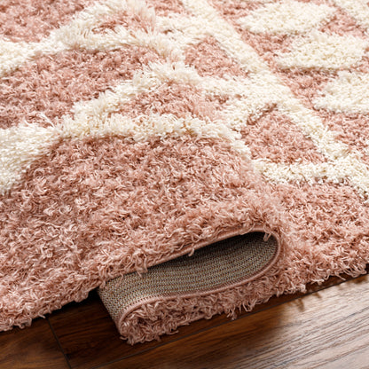 Surya Urban Shag Usg-2337 Pink Area Rug