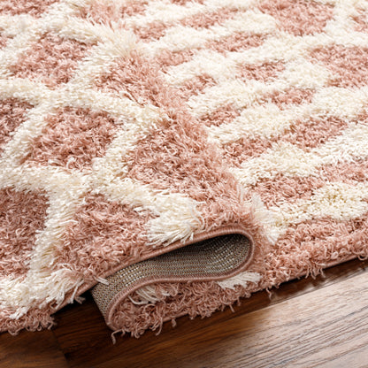 Surya Urban Shag Usg-2339 Pink Area Rug