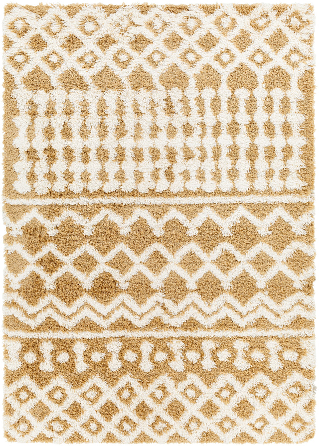 Surya Urban Shag Usg-2340 Orange Rug.