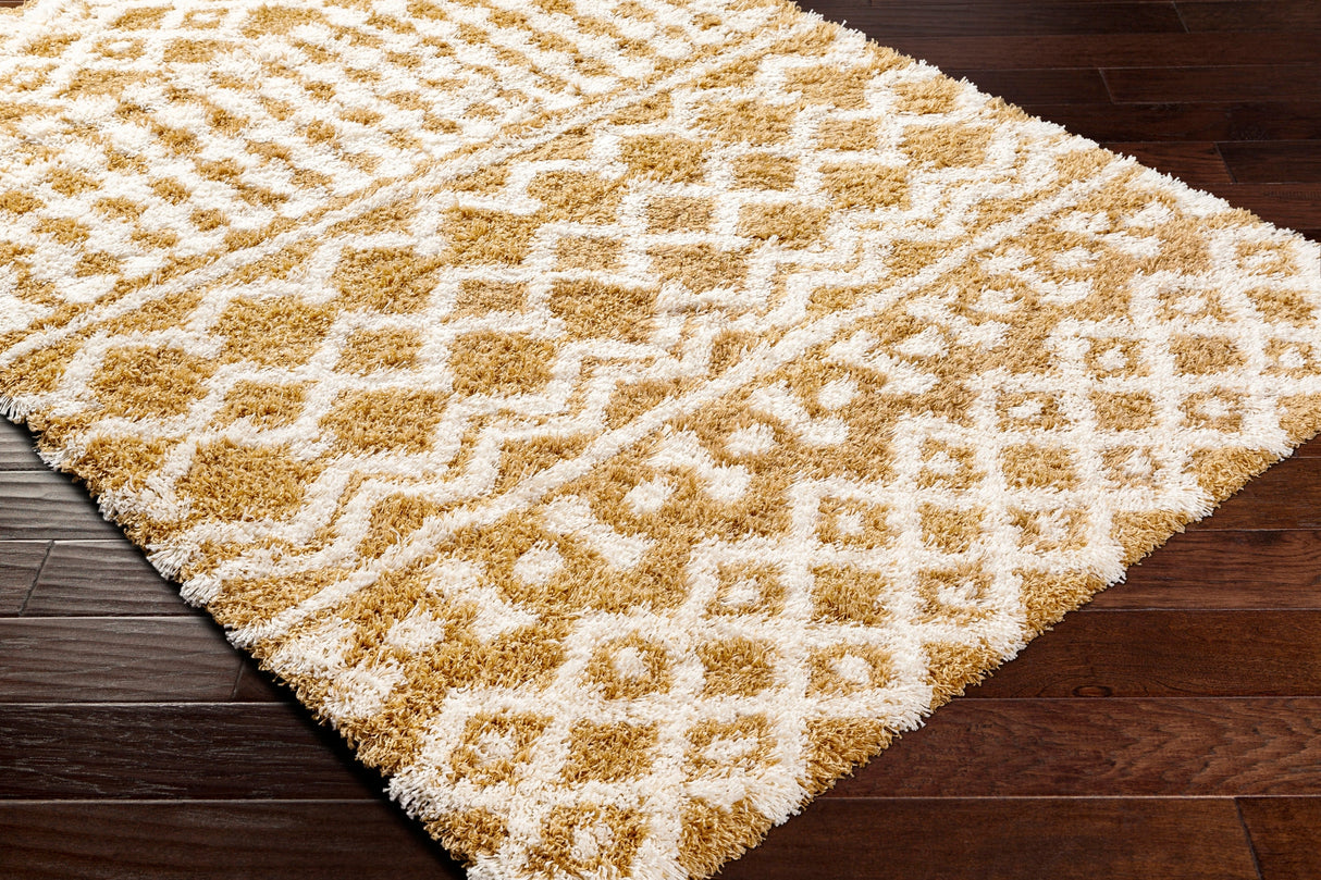 Surya Urban Shag Usg-2340 Orange Rug.