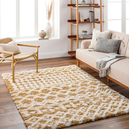 Surya Urban Shag Usg-2340 Orange Area Rug