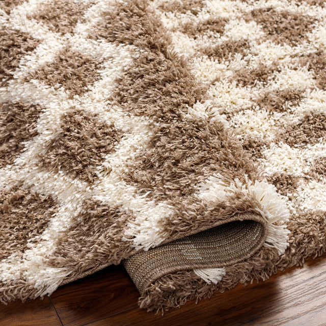 Surya Urban Shag Usg-2342 Brown Rug.