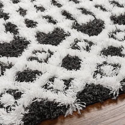 Surya Urban Shag Usg-2344 Black Area Rug