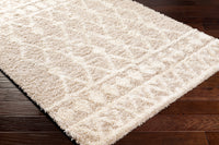 Surya Urban Shag Usg-2345 Beige Area Rug