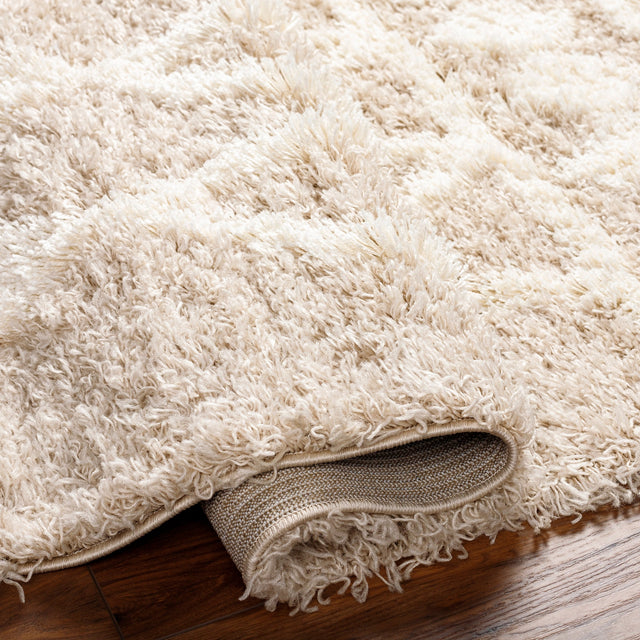 Surya Urban Shag Usg-2345 Beige Rug.