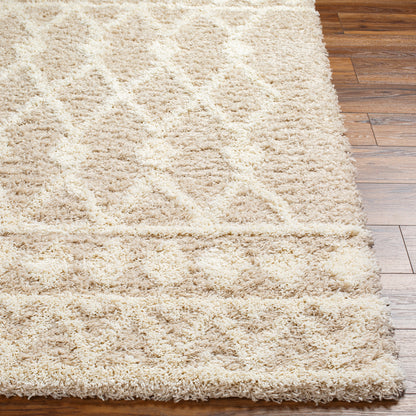 Surya Urban Shag Usg-2345 Beige Area Rug