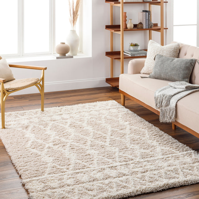 Surya Urban Shag Usg-2345 Beige Rug.