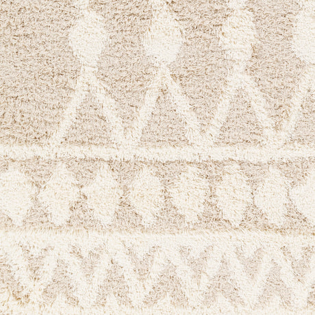 Surya Urban Shag Usg-2345 Beige Rug.