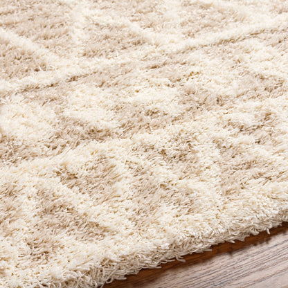 Surya Urban Shag Usg-2345 Beige Area Rug