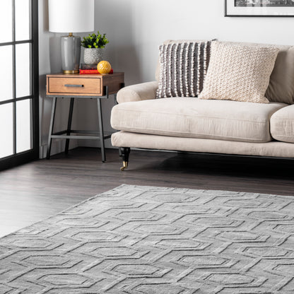 Nuloom Ambrose Nam3071A Gray Area Rug