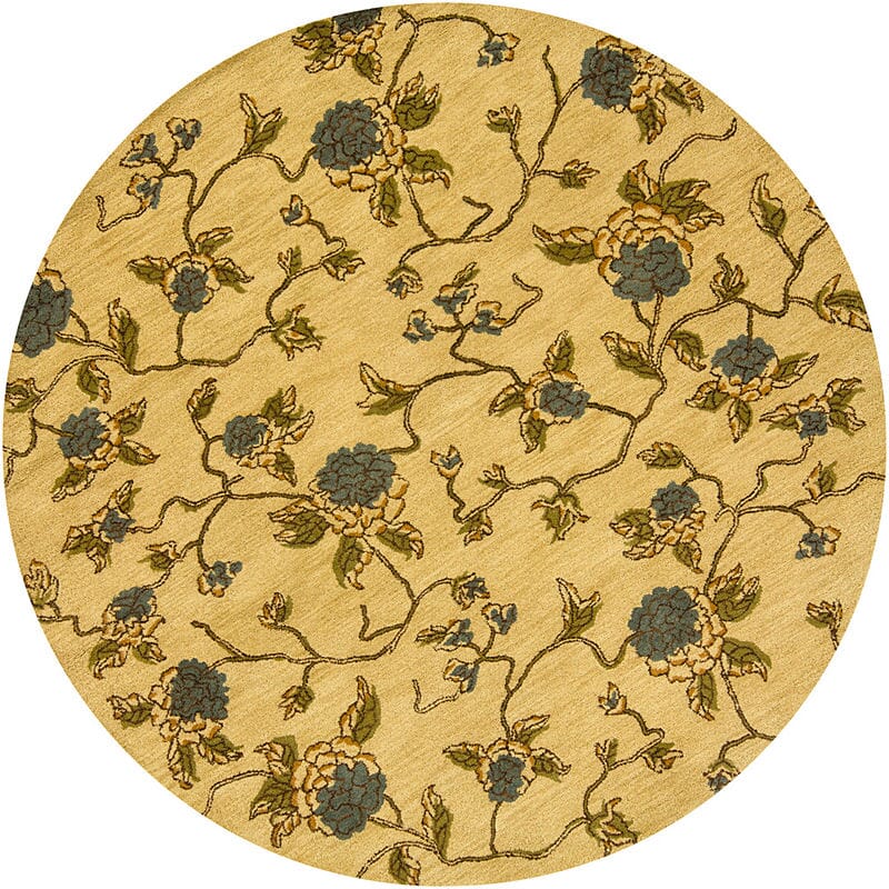 Chandra Vasuki Vas8200 Gold / Blue / Green / Tan Floral / Country Area Rug