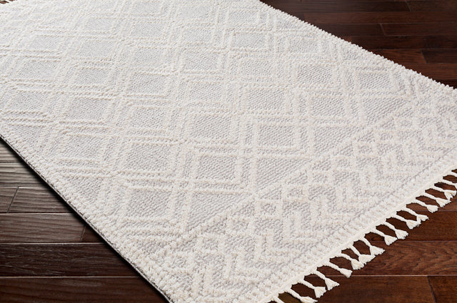 Surya Valencia Vlc-2315 Light Gray, Cream Rugs.