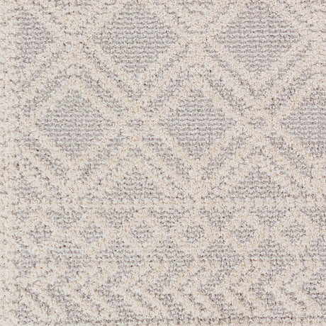 Surya Valencia Vlc-2315 Light Gray, Cream Rugs.