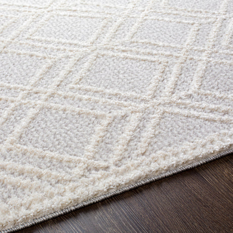 Surya Valencia Vlc-2315 Light Gray, Cream Rugs.