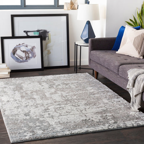 Surya Venice Vne-2305 Medium Gray, Light Gray, Ivory, Charcoal Rugs.