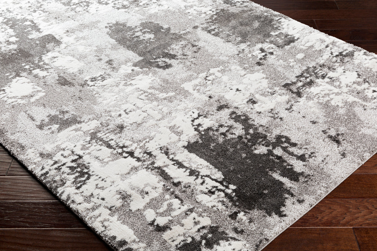 Surya Venice Vne-2308 Medium Gray, Charcoal, Light Gray, Ivory Rugs.