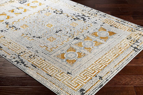 Surya Venezia Vnz-2300 Mustard, Bright Orange, Beige Rugs.
