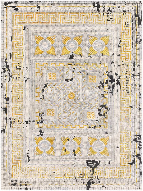 Surya Venezia Vnz-2300 Mustard, Bright Orange, Beige Rugs.