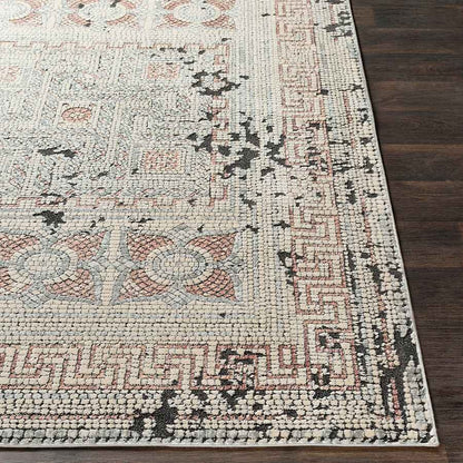 Surya Venezia Vnz-2301 Camel, Beige, Light Gray, Charcoal Vintage / Distressed Area Rug