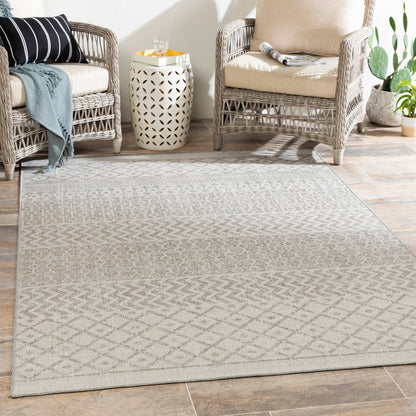 Surya Veranda Vrd-2304 Taupe, Ivory, Dark Brown Area Rug