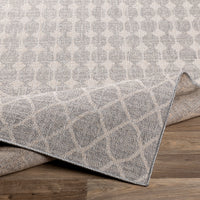 Surya Veranda Vrd-2308 Taupe, Ivory Area Rug