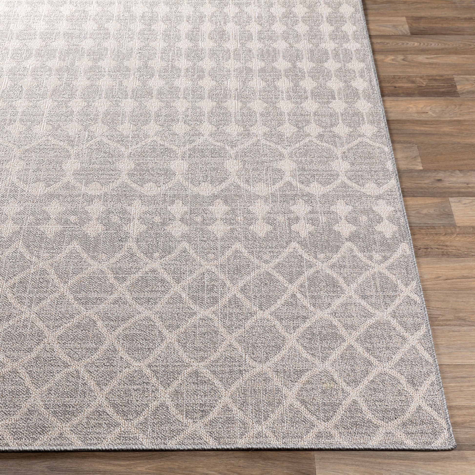 Surya Veranda Vrd-2308 Taupe, Ivory Area Rug