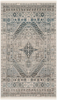 Safavieh Vintage Persian Vtp472F Grey / Blue Vintage / Distressed Area Rug