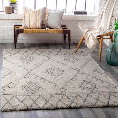 Surya Wilder Wdr-2003 Light Beige, Charcoal Area Rug