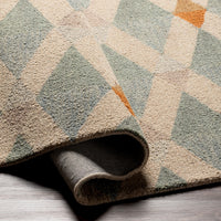 Surya Winchester Win-2301 Multi-Color Area Rug