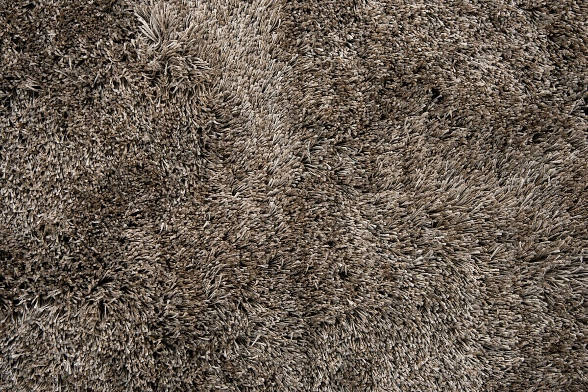 Rizzy Whistler Wis104 Beige Shag Area Rug