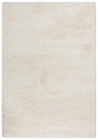 Rizzy Whistler Wis105 Ivory Shag Area Rug